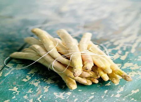 Conserve de pointes d'asperges