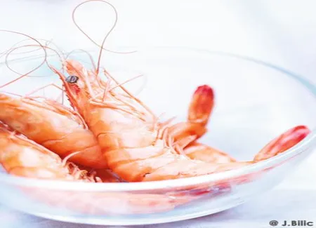 Crevettes grillées, basilic chinois, huile de sésame