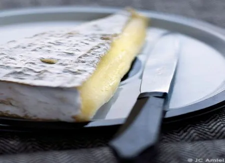 Croustillants de brie, salade de fenouil et épinards