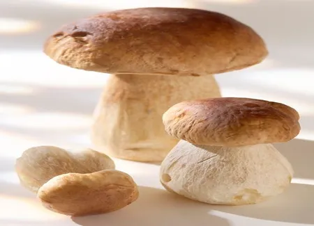 Cuissot de sanglier aux cèpes
