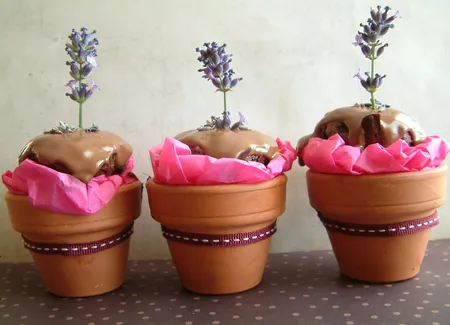 Cupcakes chocolat-lavande
