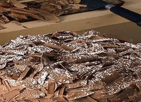 Dôme au chocolat