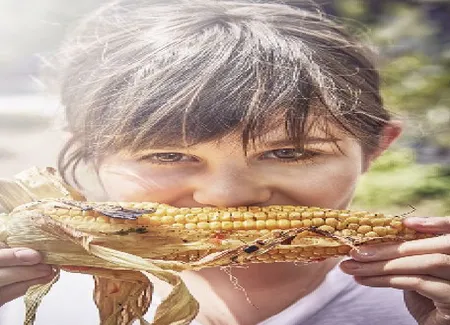 Épis de maïs marinés grillés