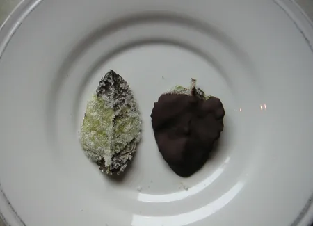 Feuilles de menthe cristallisées au chocolat