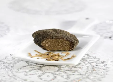 Filet de boeuf wellington, sauce à la truffe