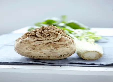 Filets de lièvre sully, purée de céleri
