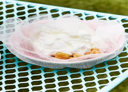Fontainebleau aux petits-suisses et compote de rhubarbe de christophe michalak