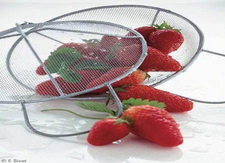 Fraises au sucre