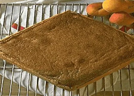 Gâteau anglais aux abricots