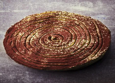 Gâteau au chocolat et glaçage pistache