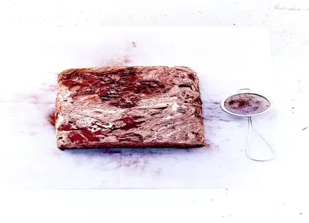 Gâteau guimauve et cacao