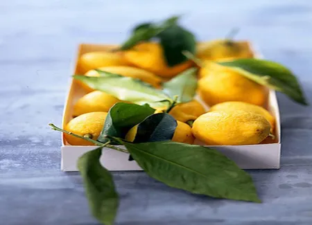 Gelée de citrons