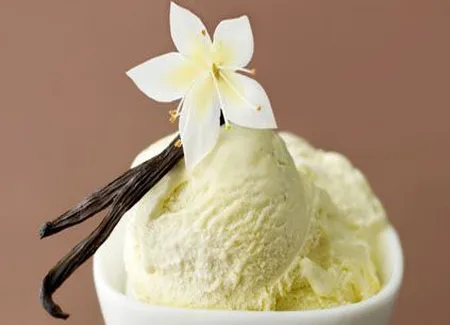 Glace vanille facile