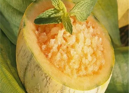 Granité de melon anisé