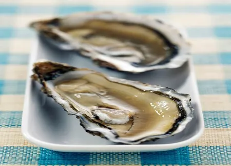 Huîtres à la provençale