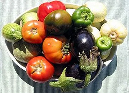 Légumes du soleil