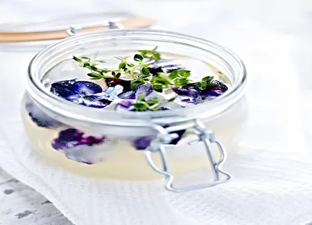 Limonade au sureau