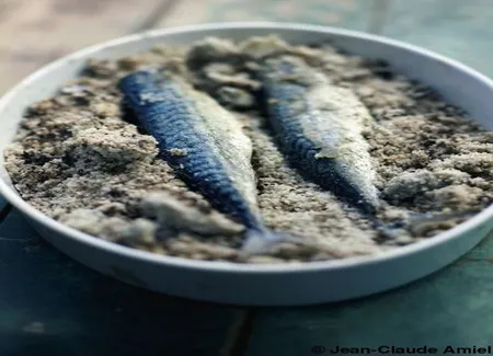 Maquereaux gingembre citronnelle en croûte de sel