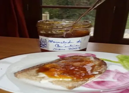 Marmelade de clémentines