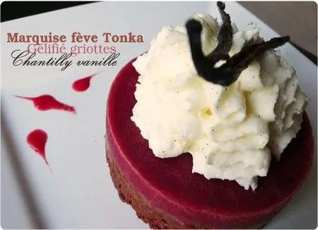 Marquise au chocolat et fève tonka, gelée griottes, chantilly vanille