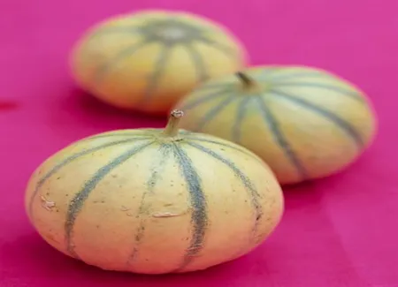 Melon surprise aux fruits d'été