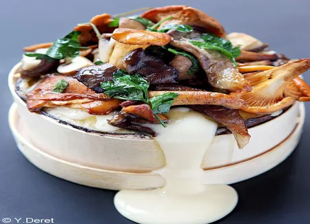 Mont-d'or aux champignons