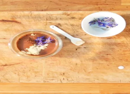 Mousse au chocolat minceur