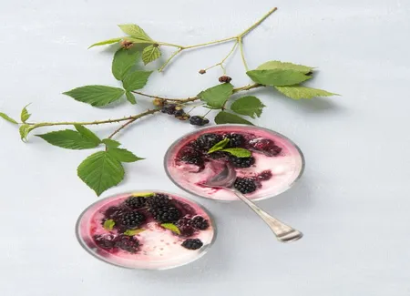 Mousse de mûre sauvage et betterave