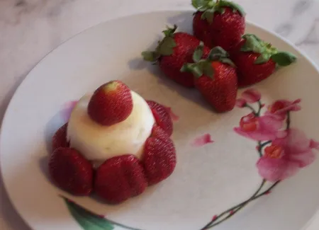 Mousse glacée express