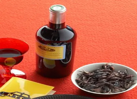 Petites seiches dans leur encre