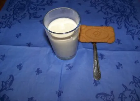 Panna cotta aux speculoos et thé de noël