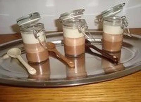 Panna cotta aux trois chocolats