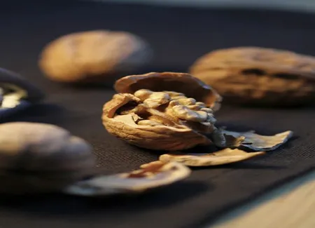 Pâte à tartiner aux noix