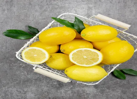 Pâte de citron confit au sel