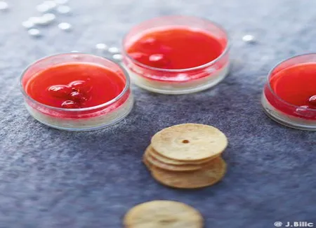 Perles du japon, groseilles en gelée