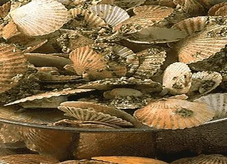 Pétoncles au beurre d'escargot