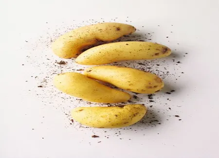 Pommes de terre à la béchamel