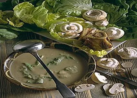 Potage à la laitue
