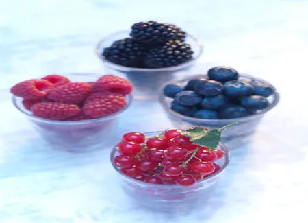 Poulet à la compote de fruits rouges