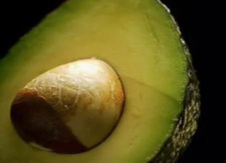 Poulet grillé à l'avocat et au fromage