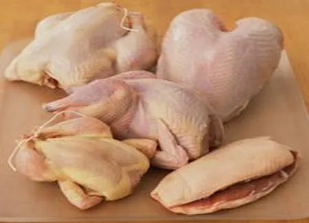 Poulets de cornouailles au vin rouge