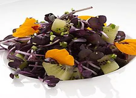 Pousses de chou en salade au kiwi