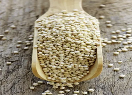 Risotto au quinoa