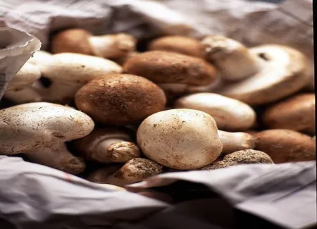 Rognons de porc et pleurotes à la bière