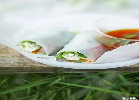 Rouleaux de printemps mozza-basilic