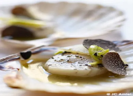 Saint-jacques, poireaux et truffes