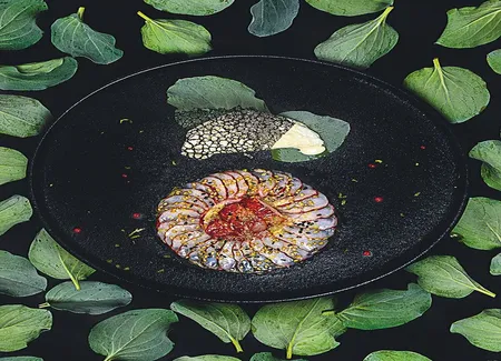 Saint-marcellin et carpaccio de homard