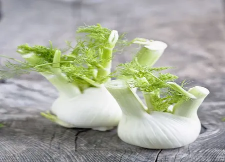 Salade au fenouil