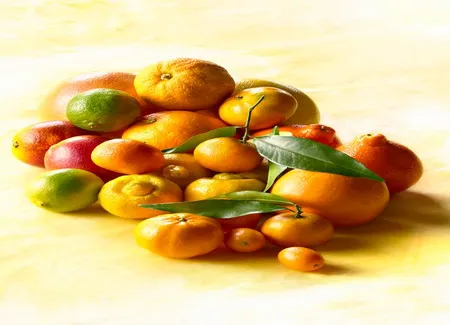 Salade composée aux agrumes