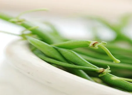 Salade d'haricots verts et coeurs de palmier